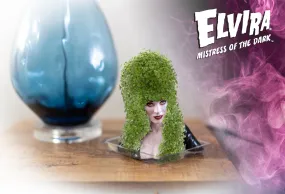 Chia Pet Planter - Elvira