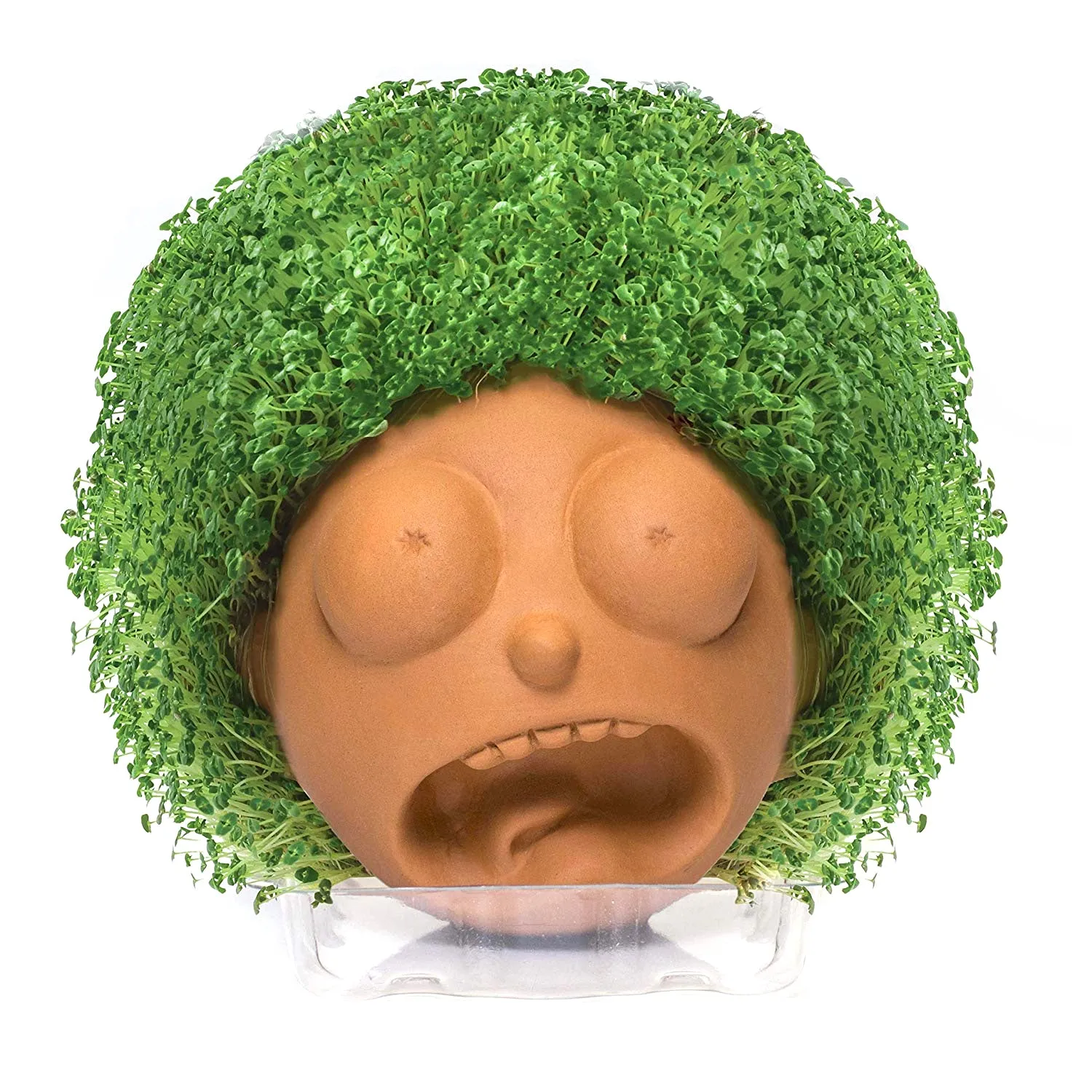 Chia Pet Planter - Rick & Morty -Morty