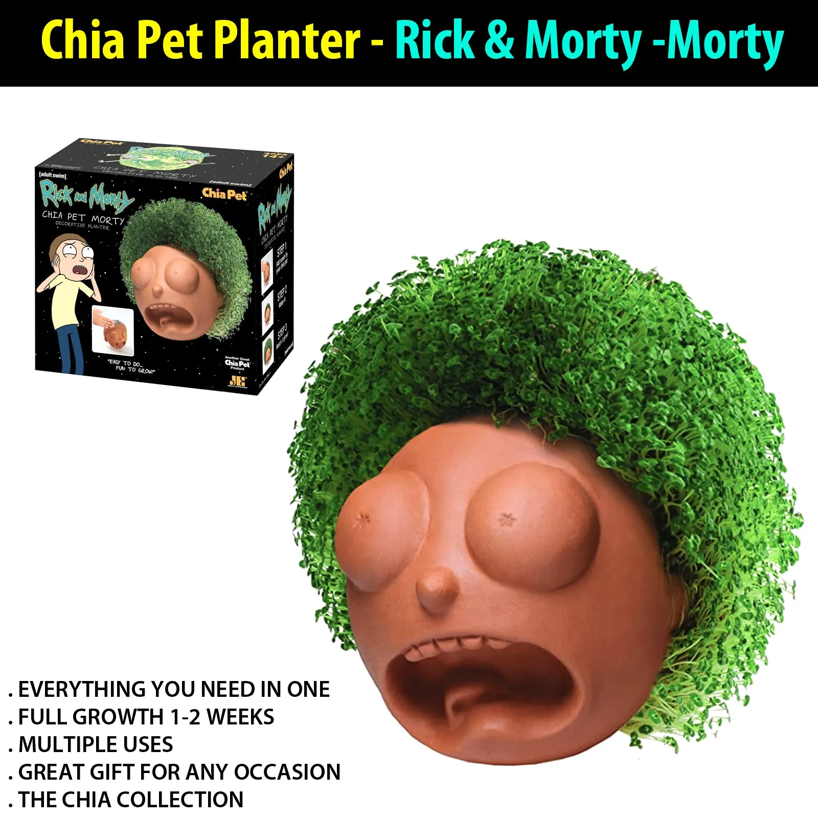 Chia Pet Planter - Rick & Morty -Morty
