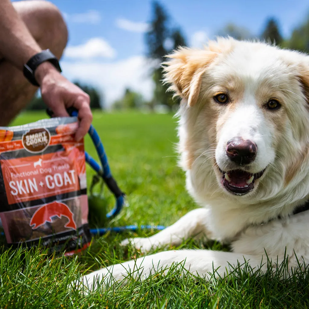 Skin   Coat Functional Dog Treats