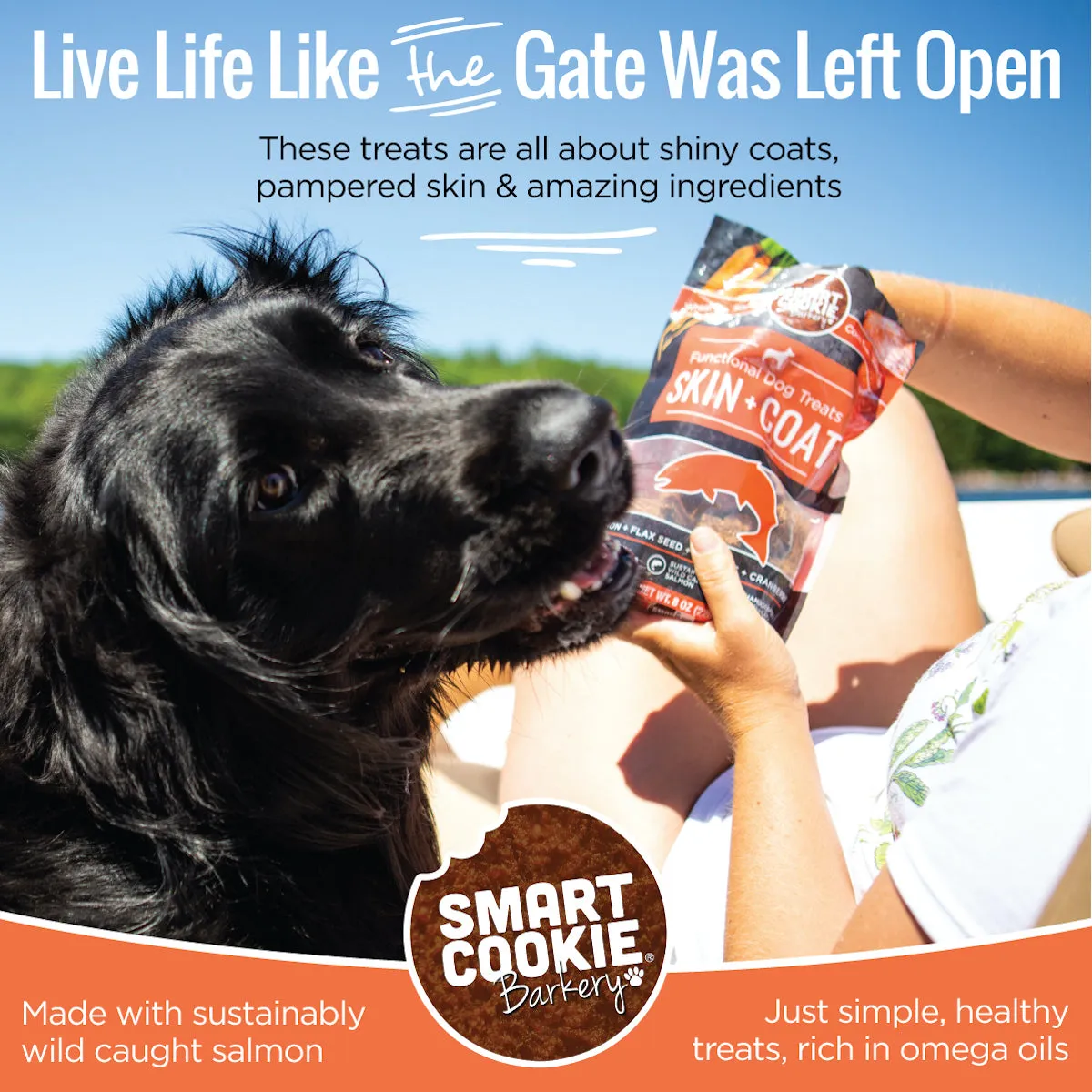 Skin   Coat Functional Dog Treats