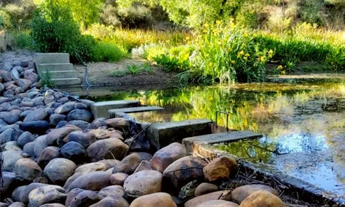 Western Cape: 2-Night Stay for a Family of 4 or 5 at Villa Tarentaal